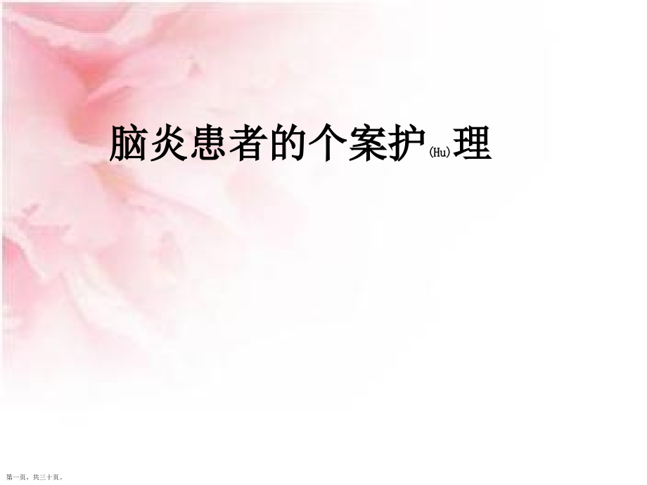 脑炎患者的个案护理问题及措施.pptx_第1页