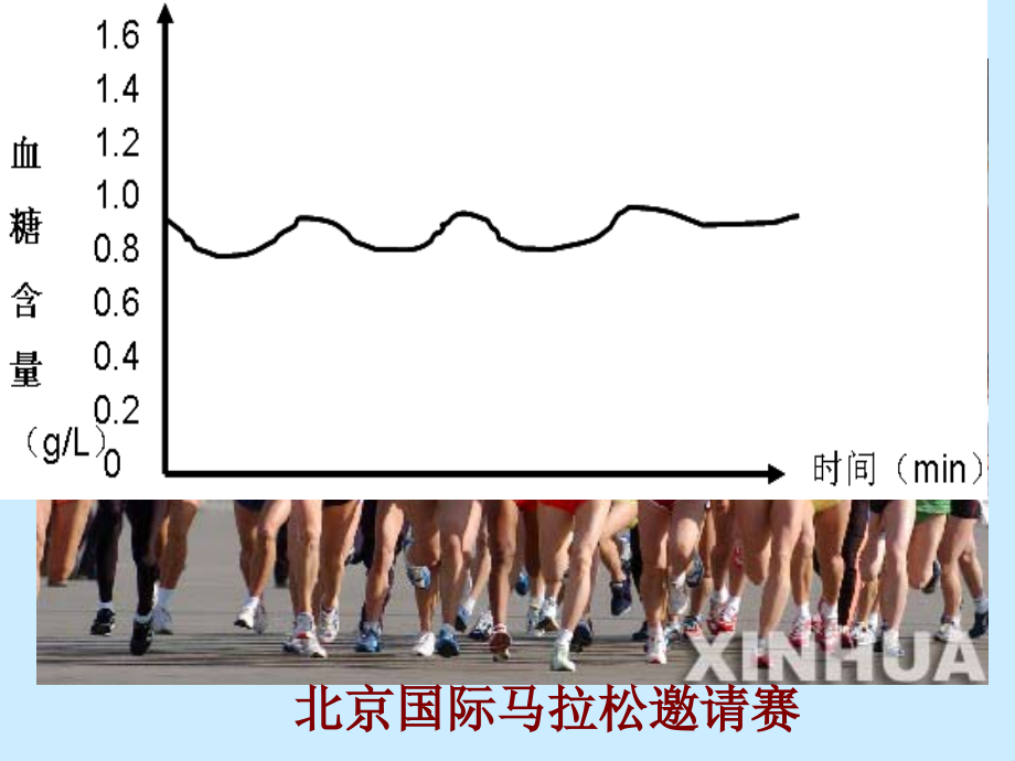 2章1节血糖平衡的调节.ppt_第2页