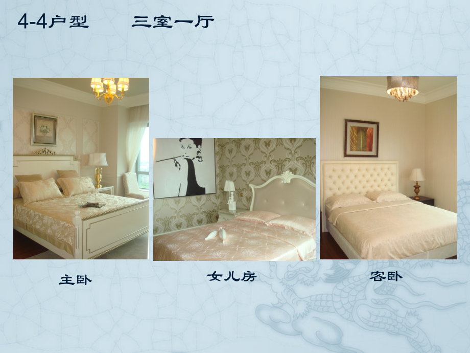 4-5户型：两室一厅.pptx_第2页