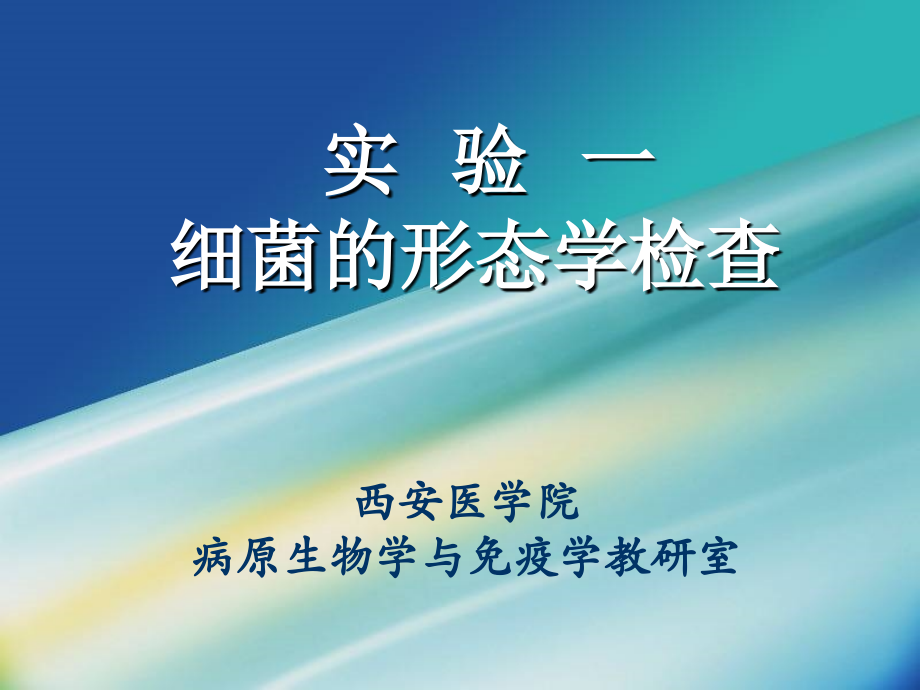 01细菌的形态学检查.ppt_第1页