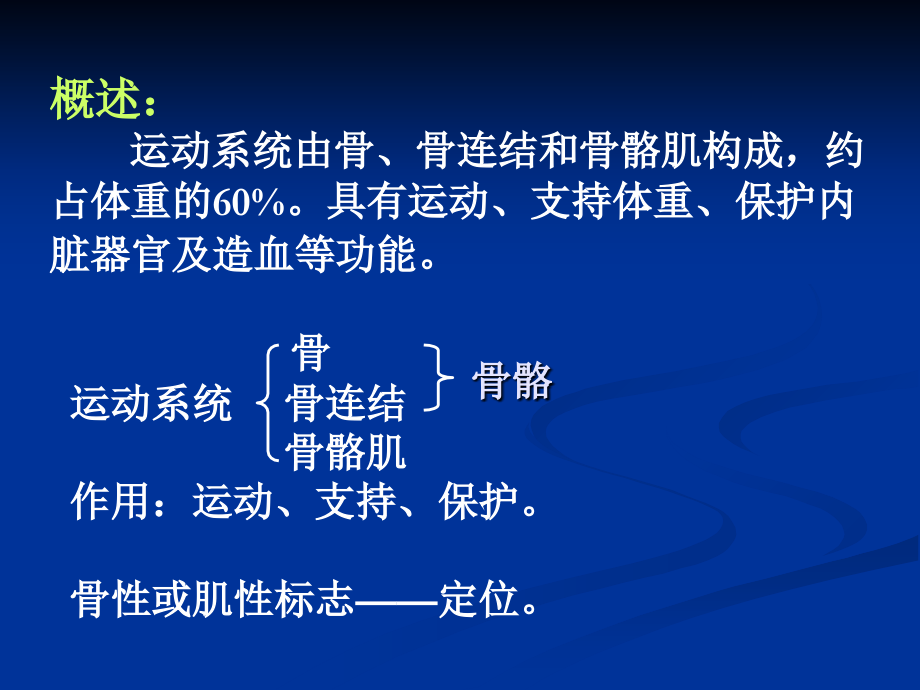 第二章运动系统(全章).ppt_第2页