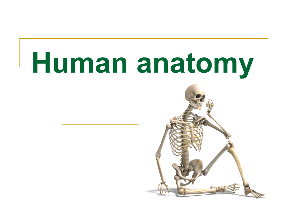 1.-骨学总论.ppt_第1页