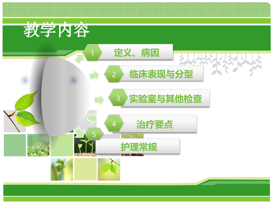 1脑梗塞的护理.ppt_第2页