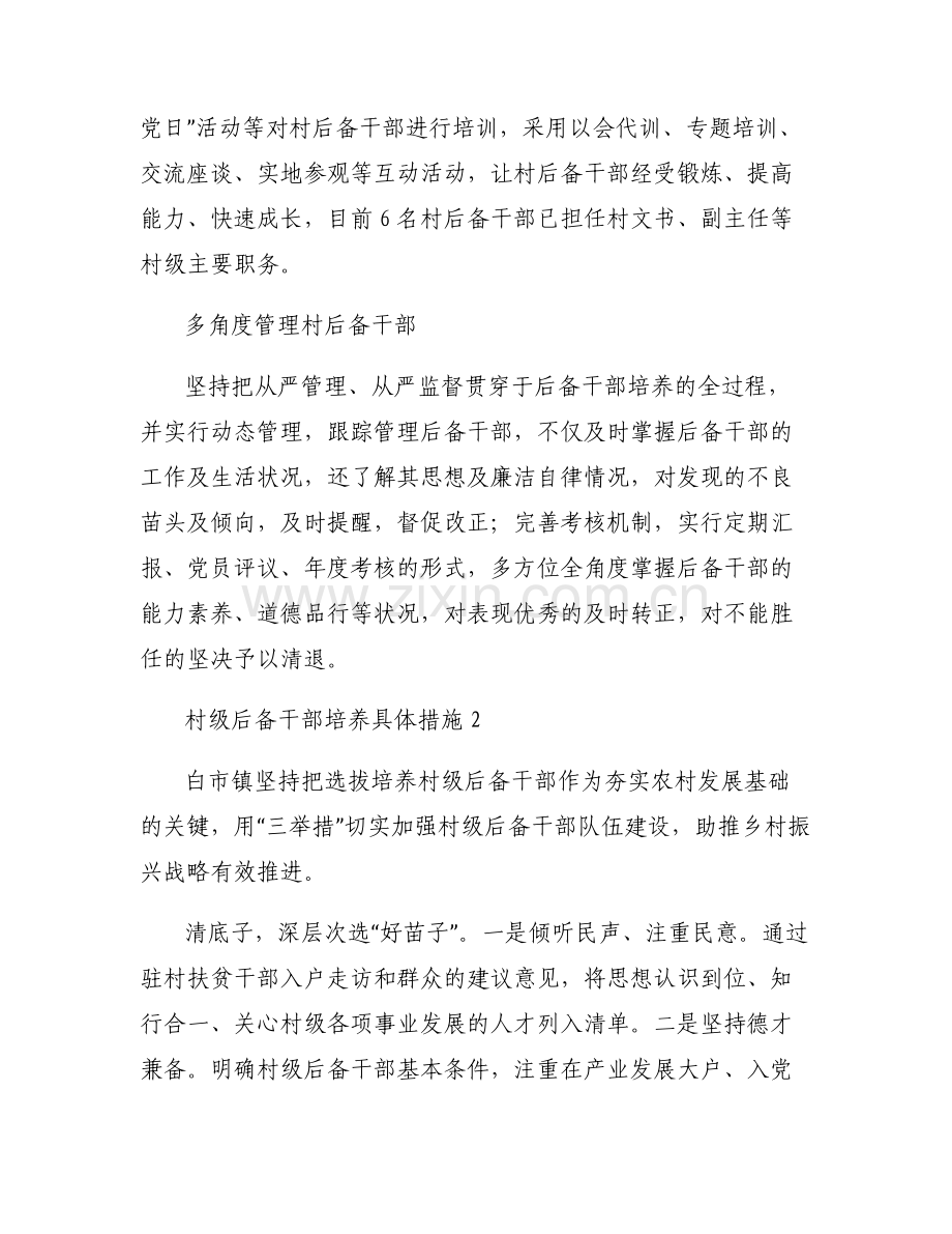 村级后备干部培养具体措施【六篇】.pdf_第2页