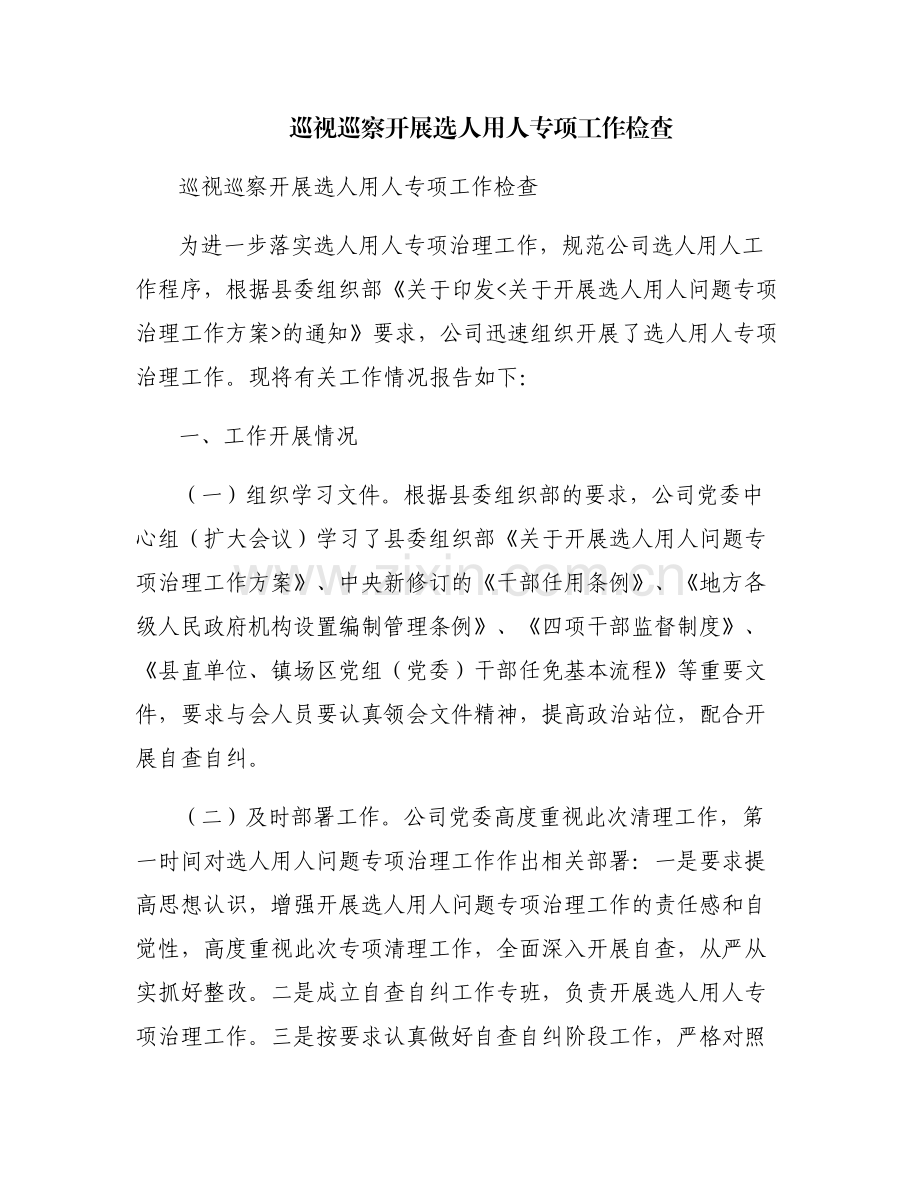 巡视巡察开展选人用人专项工作检查.pdf_第1页