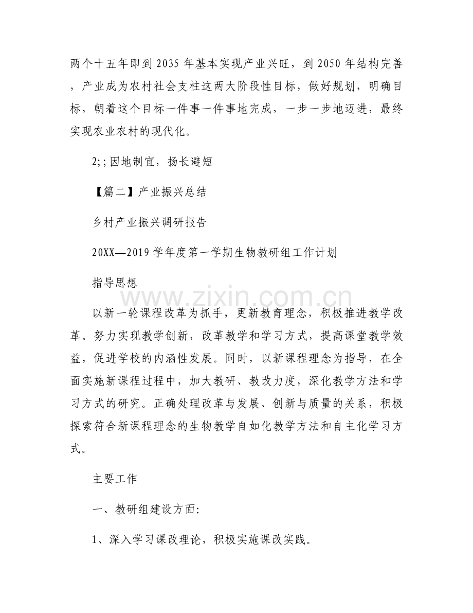 产业振兴总结范文(5篇).docx_第2页