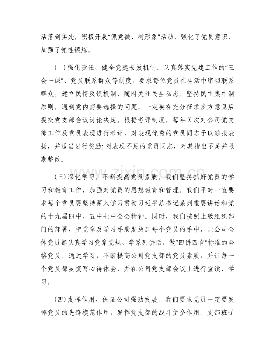 2023年度两新行业书记抓基层党建工作述职范文六篇.docx_第2页
