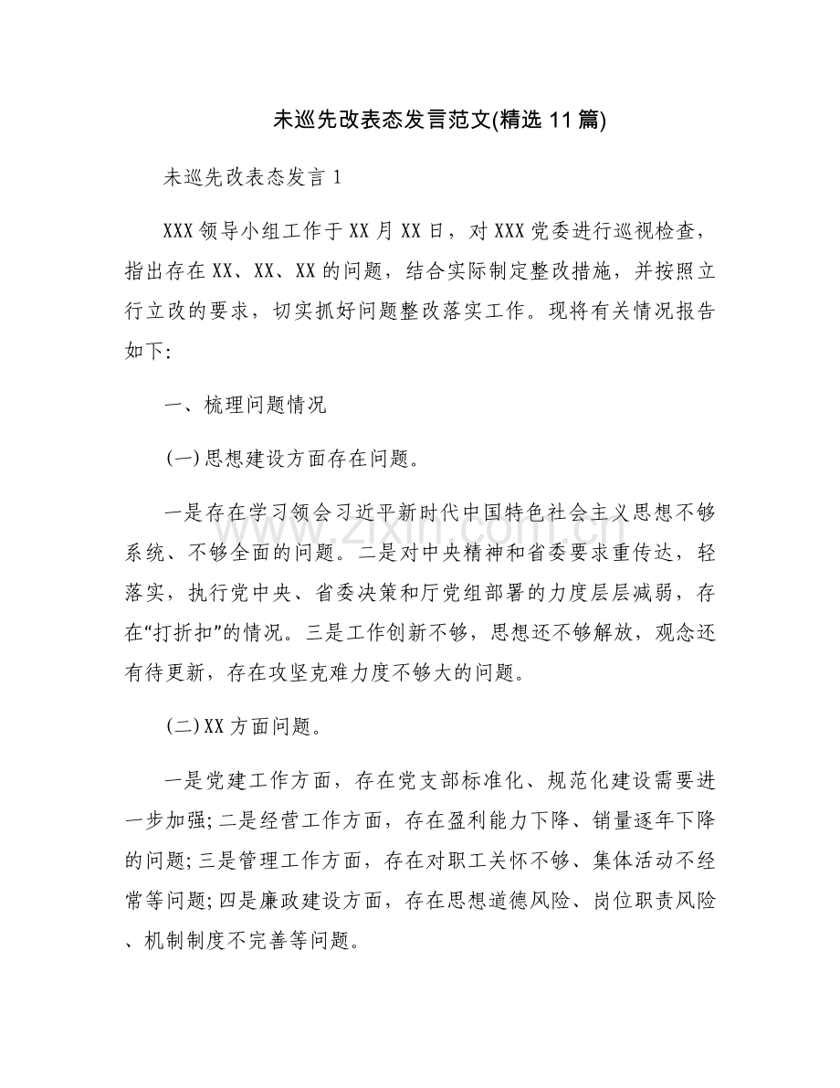未巡先改表态发言范文(11篇).docx_第1页