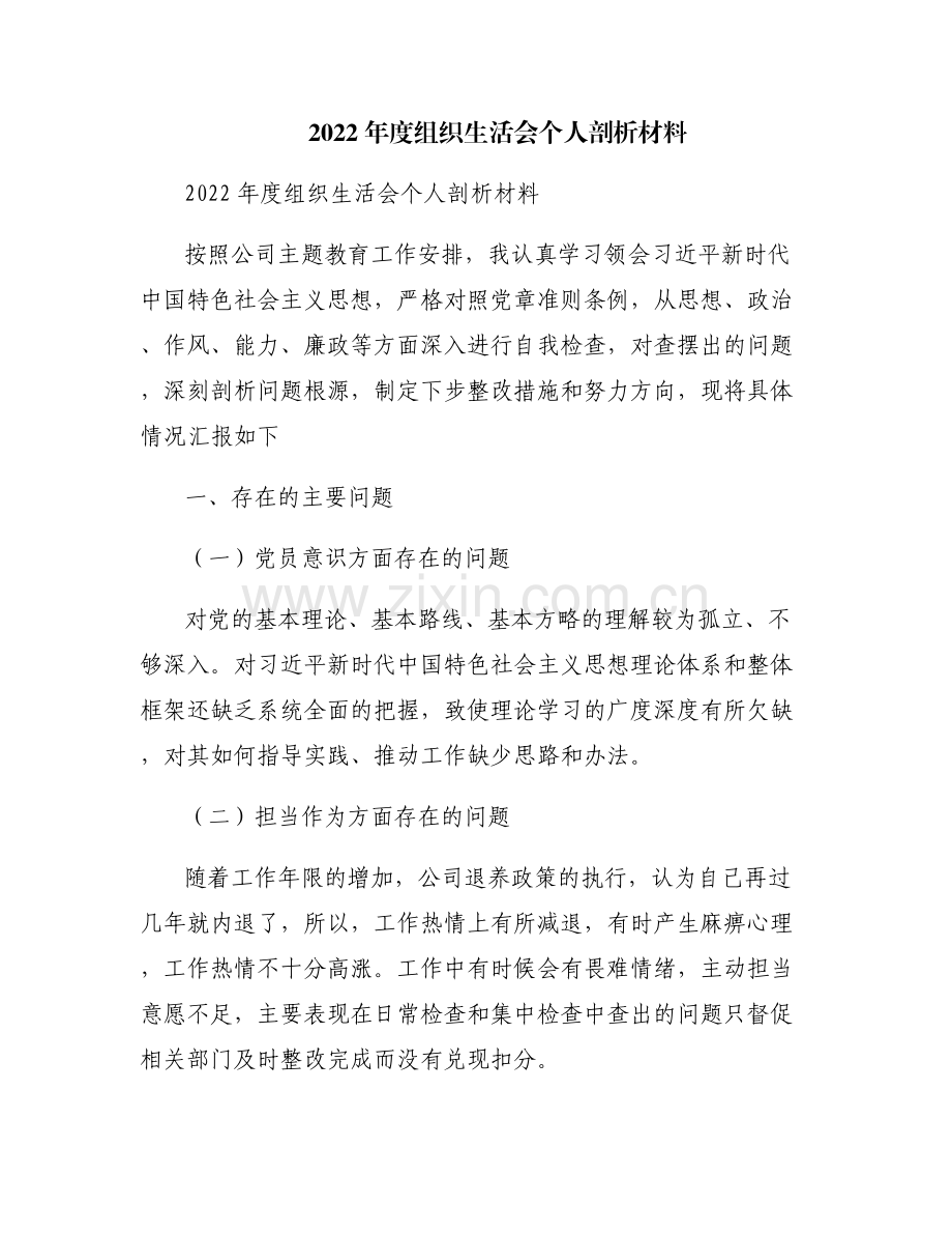 2022年度组织生活会个人剖析材料.pdf_第1页