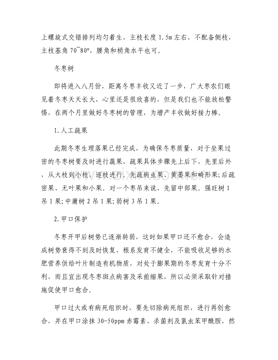 [冬枣树的春季管理技术]冬枣树.pdf_第2页