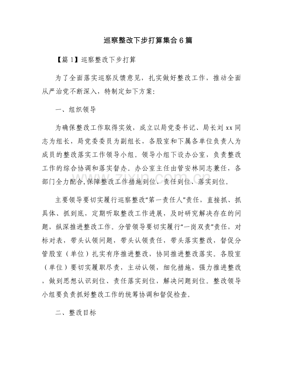 巡察整改下步打算集合6篇.docx_第1页