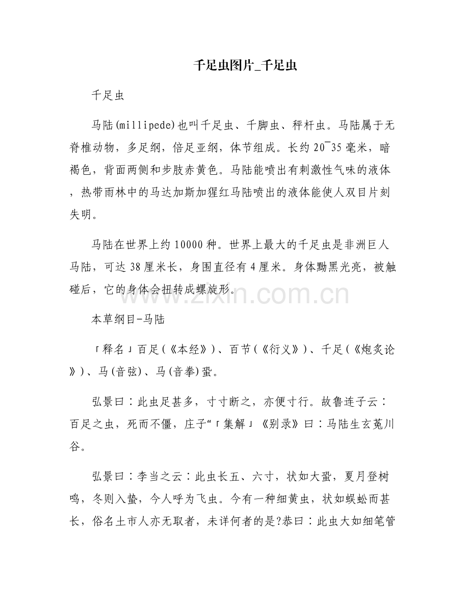千足虫图片_千足虫.pdf_第1页