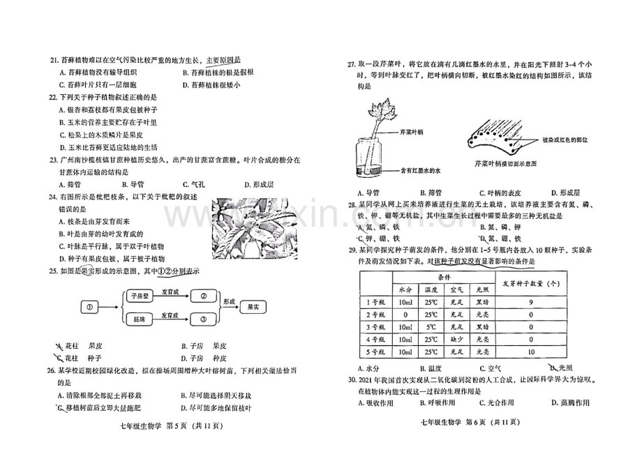 2024-2025学年七年级上学期越秀区期末考试生物试卷（学生版）.docx_第2页