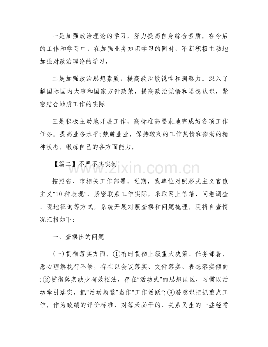 不严不实实例集合5篇.docx_第2页