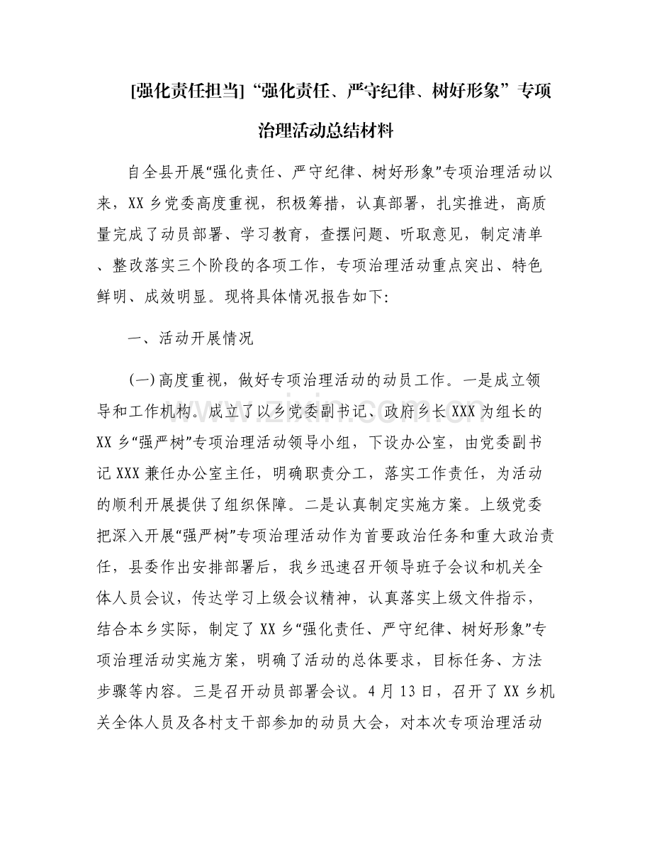 [强化责任担当]“强化责任、严守纪律、树好形象”专项治理活动总结材料.pdf_第1页