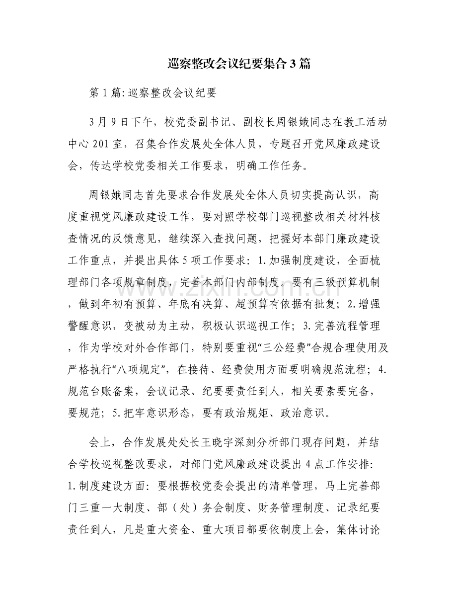 巡察整改会议纪要集合3篇.pdf_第1页