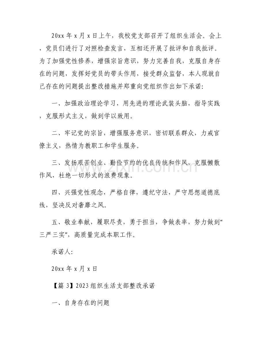 2023组织生活支部整改承诺范文六篇.pdf_第2页