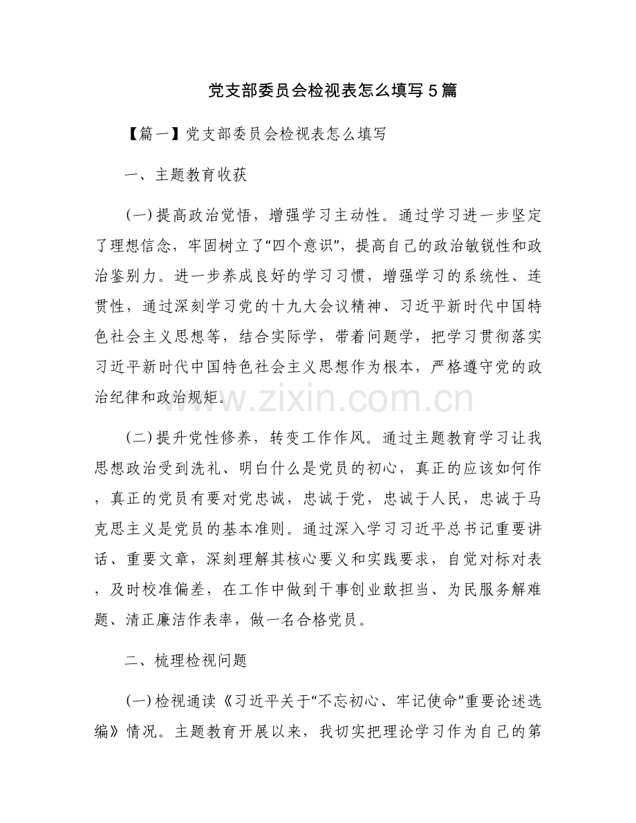 党支部委员会检视表怎么填写5篇.docx_第1页