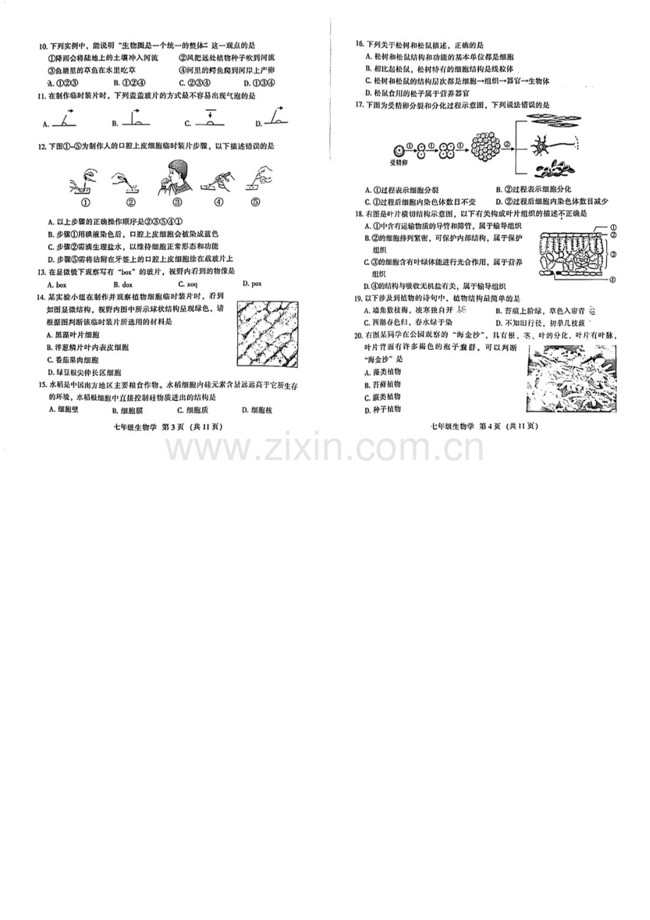2023学年七年级上学期越秀区期末考试生物试卷（学生版）.docx_第2页