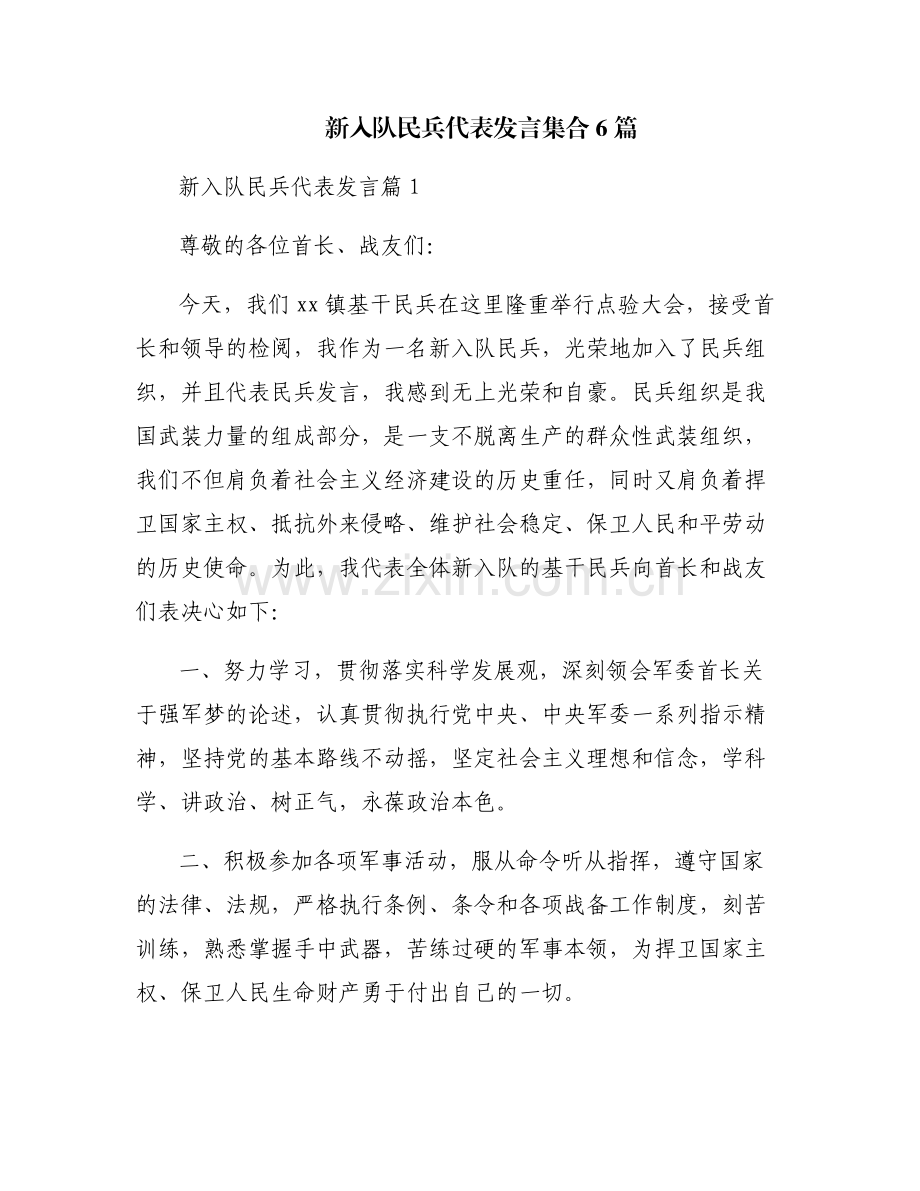 新入队民兵代表发言集合6篇.pdf_第1页