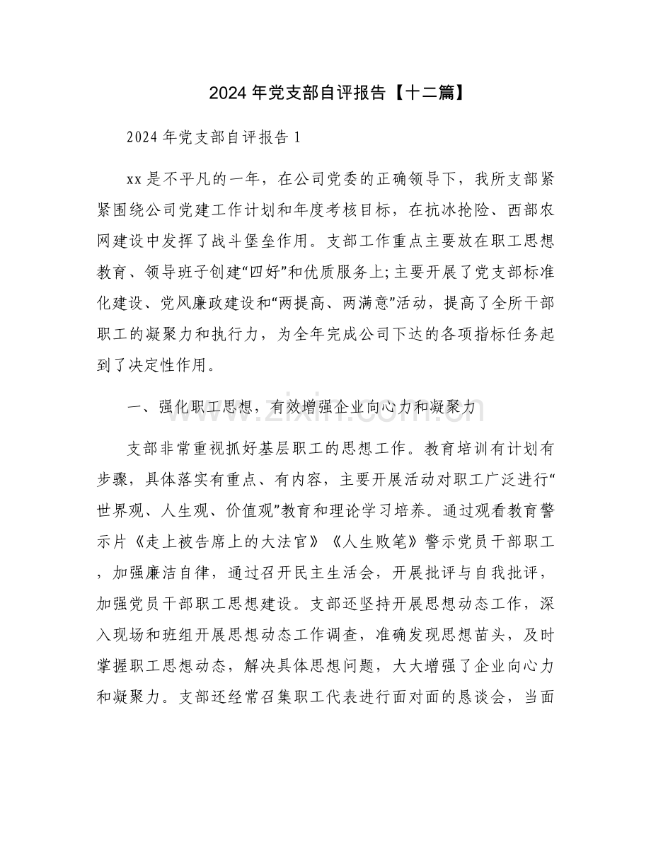 2024年党支部自评报告【十二篇】.docx_第1页