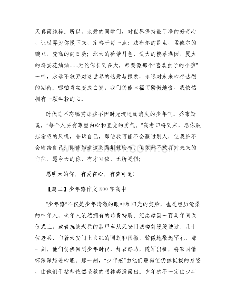 少年感作文800字高中【六篇】.pdf_第2页