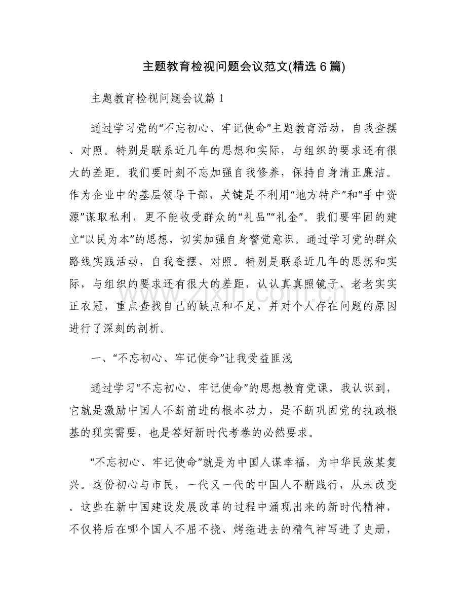 主题教育检视问题会议范文(6篇).docx_第1页
