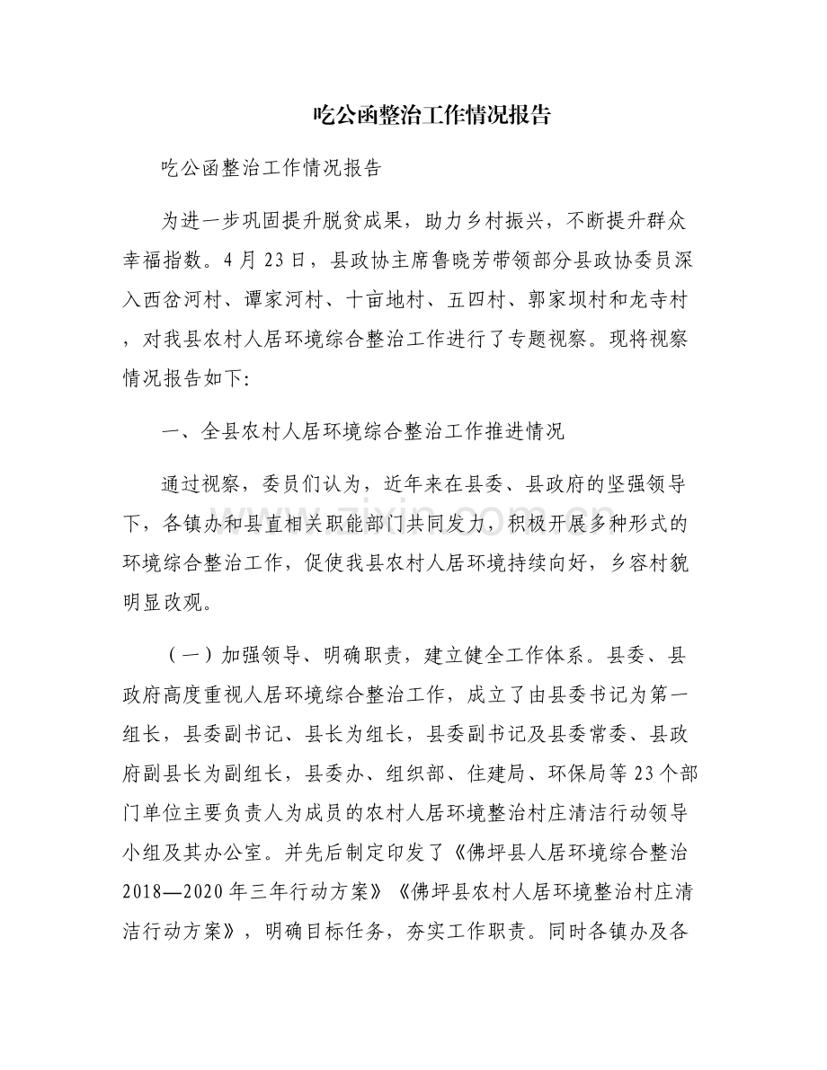 吃公函整治工作情况报告.pdf_第1页
