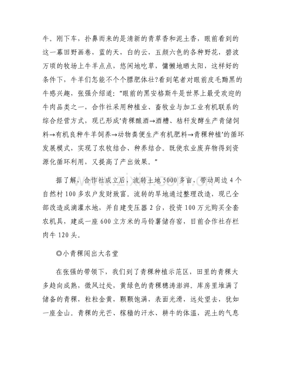 创富论坛_创富奇人张强.pdf_第2页