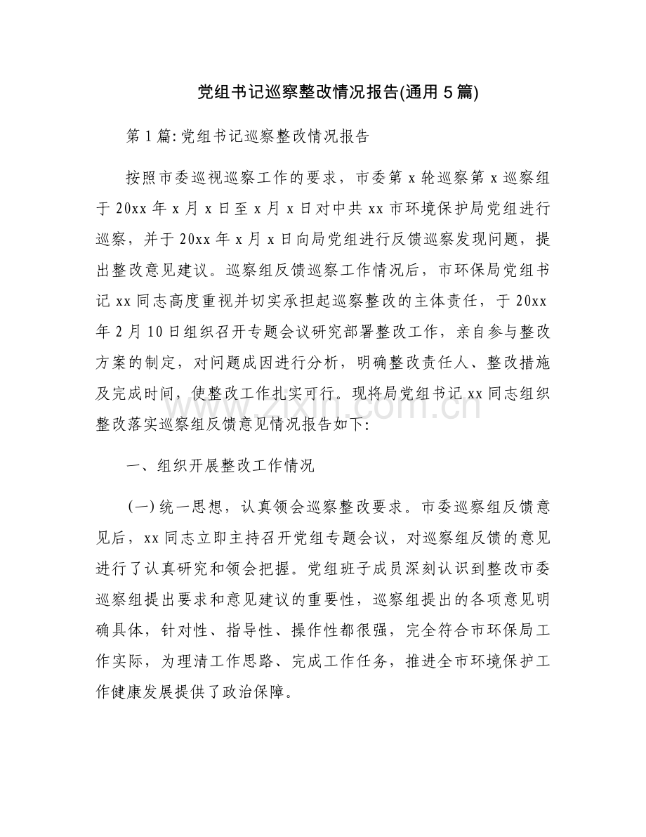 党组书记巡察整改情况报告(通用5篇).docx_第1页