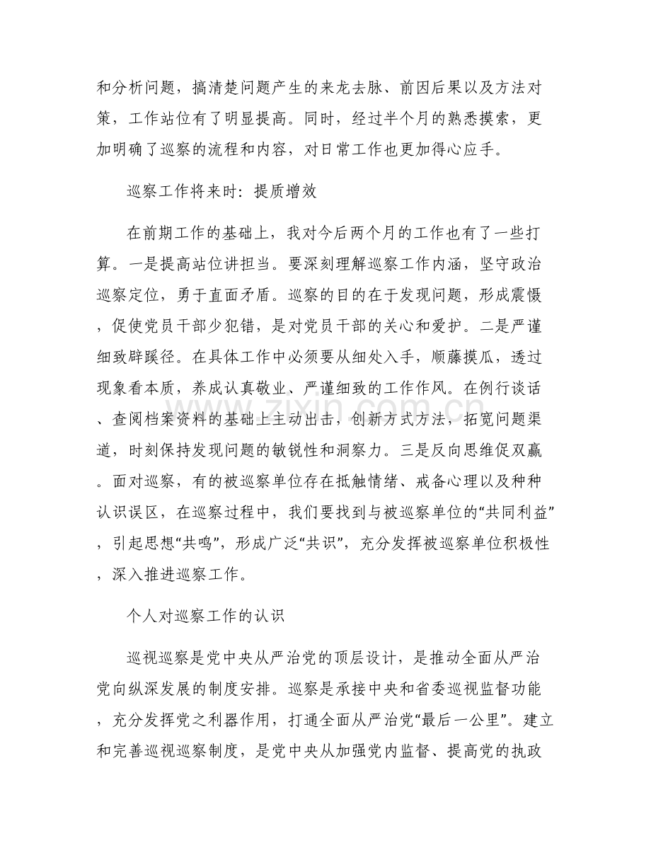 个人对巡察工作的认识.pdf_第2页