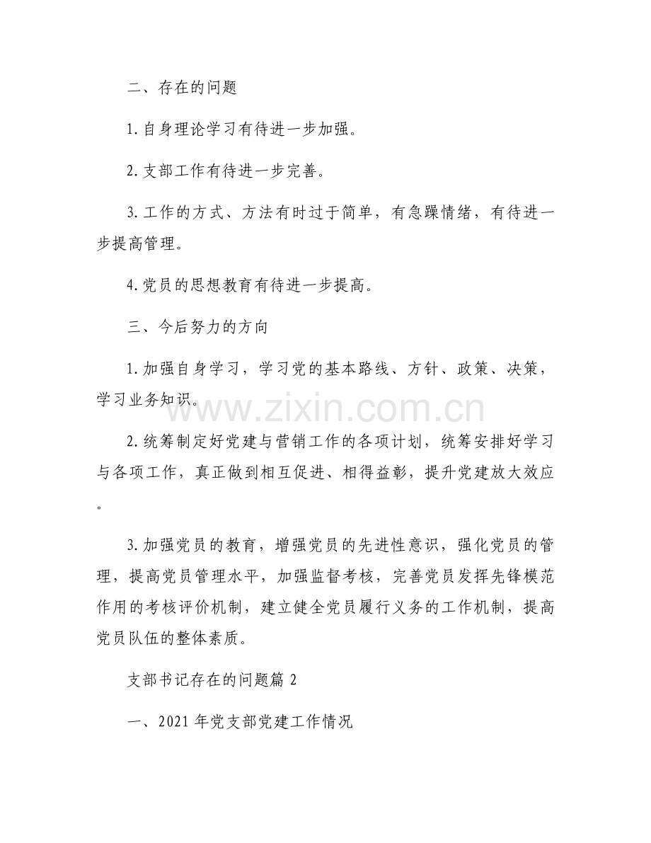 支部书记存在的问题集合6篇.docx_第2页