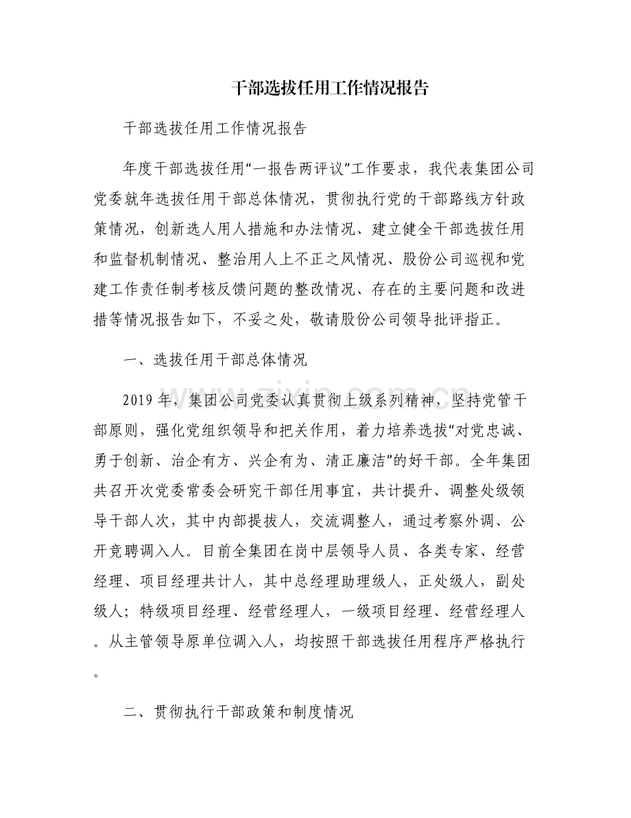 干部选拔任用工作情况报告.pdf_第1页