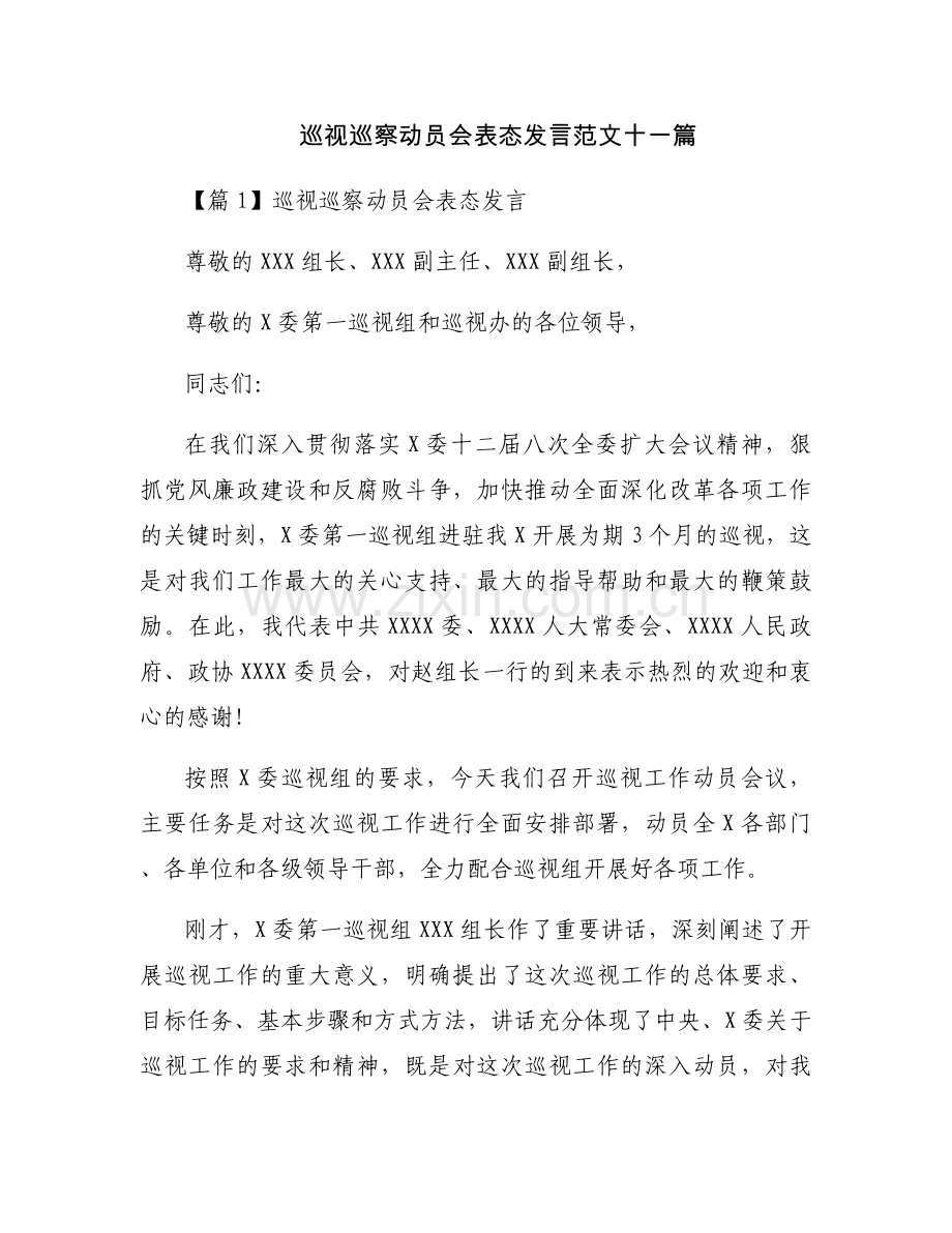 巡视巡察动员会表态发言范文十一篇.docx_第1页