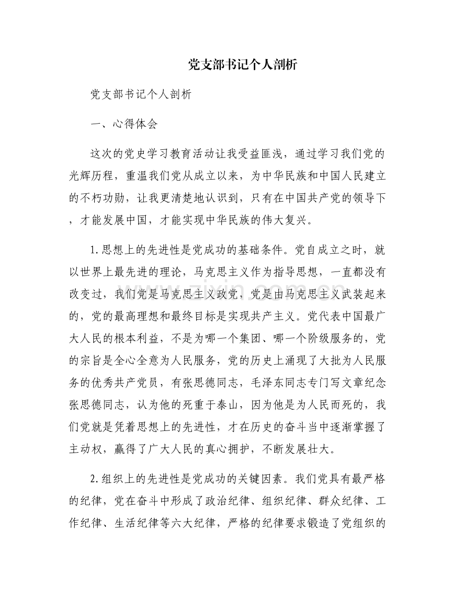 党支部书记个人剖析.pdf_第1页