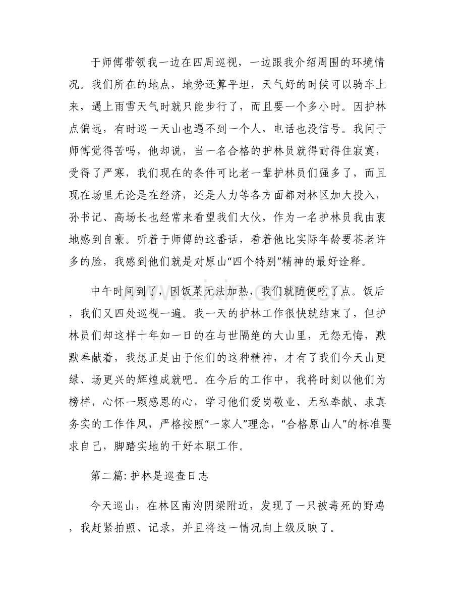 护林是巡查日志6篇.pdf_第2页