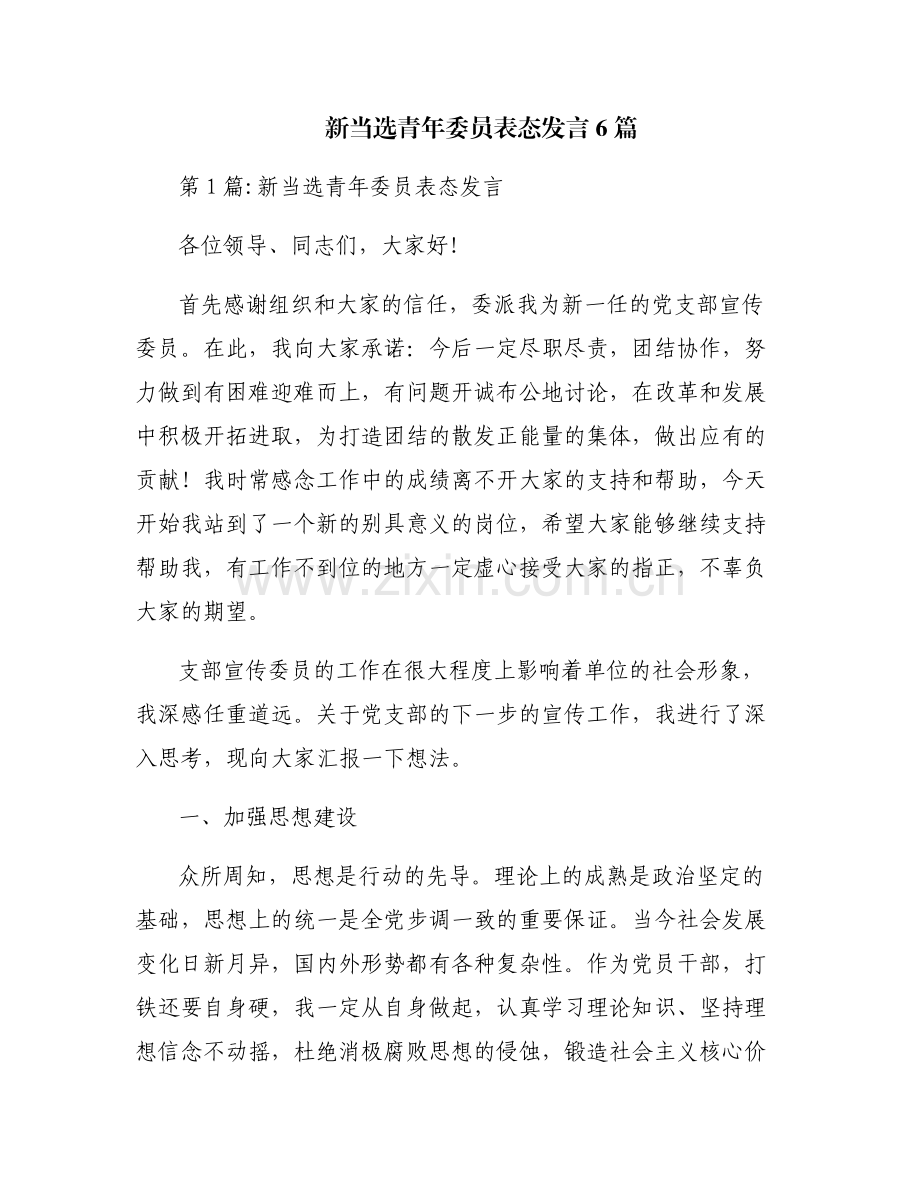 新当选青年委员表态发言6篇.pdf_第1页