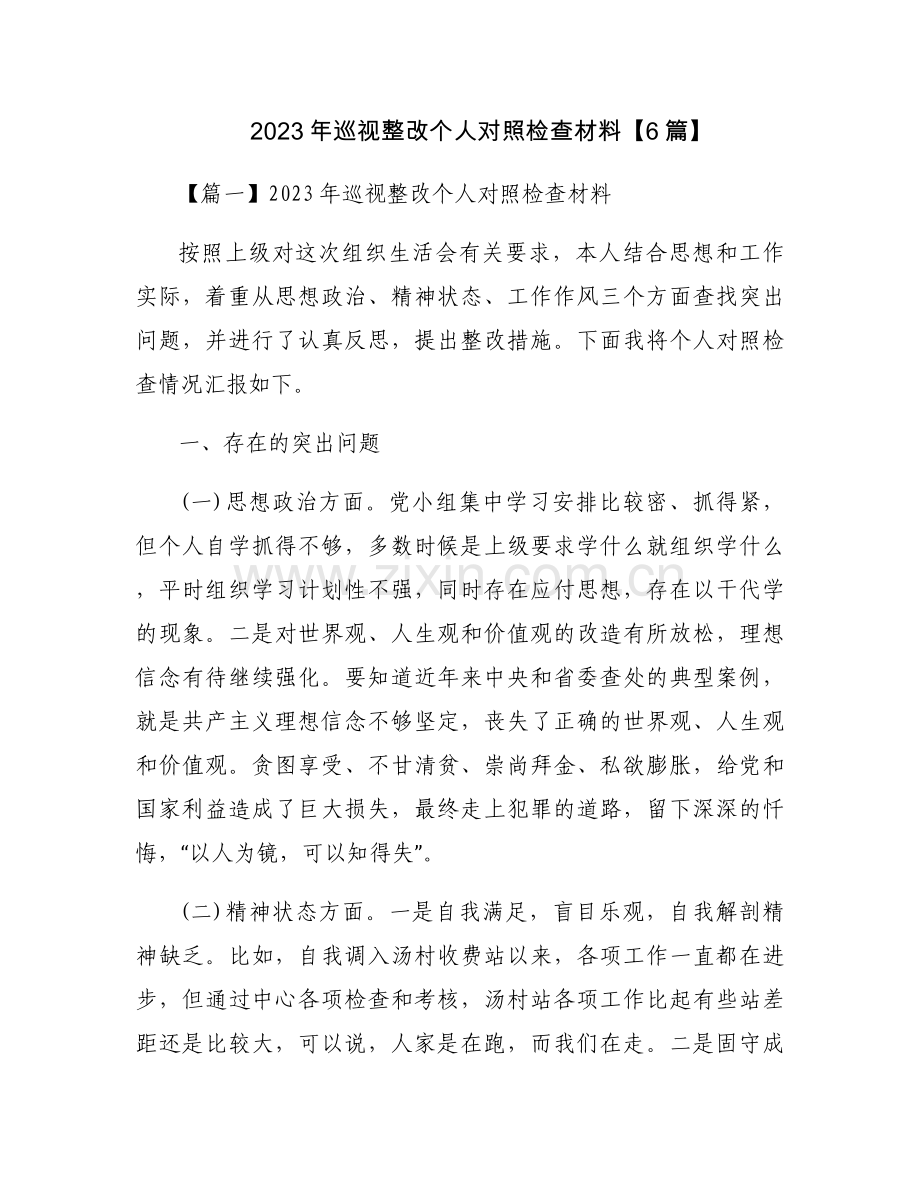 2023年巡视整改个人对照检查材料【6篇】.docx_第1页