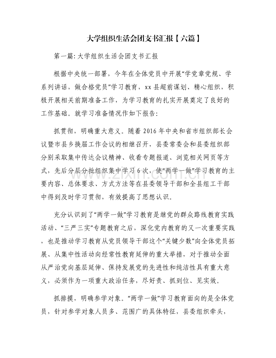 大学组织生活会团支书汇报【六篇】.pdf_第1页