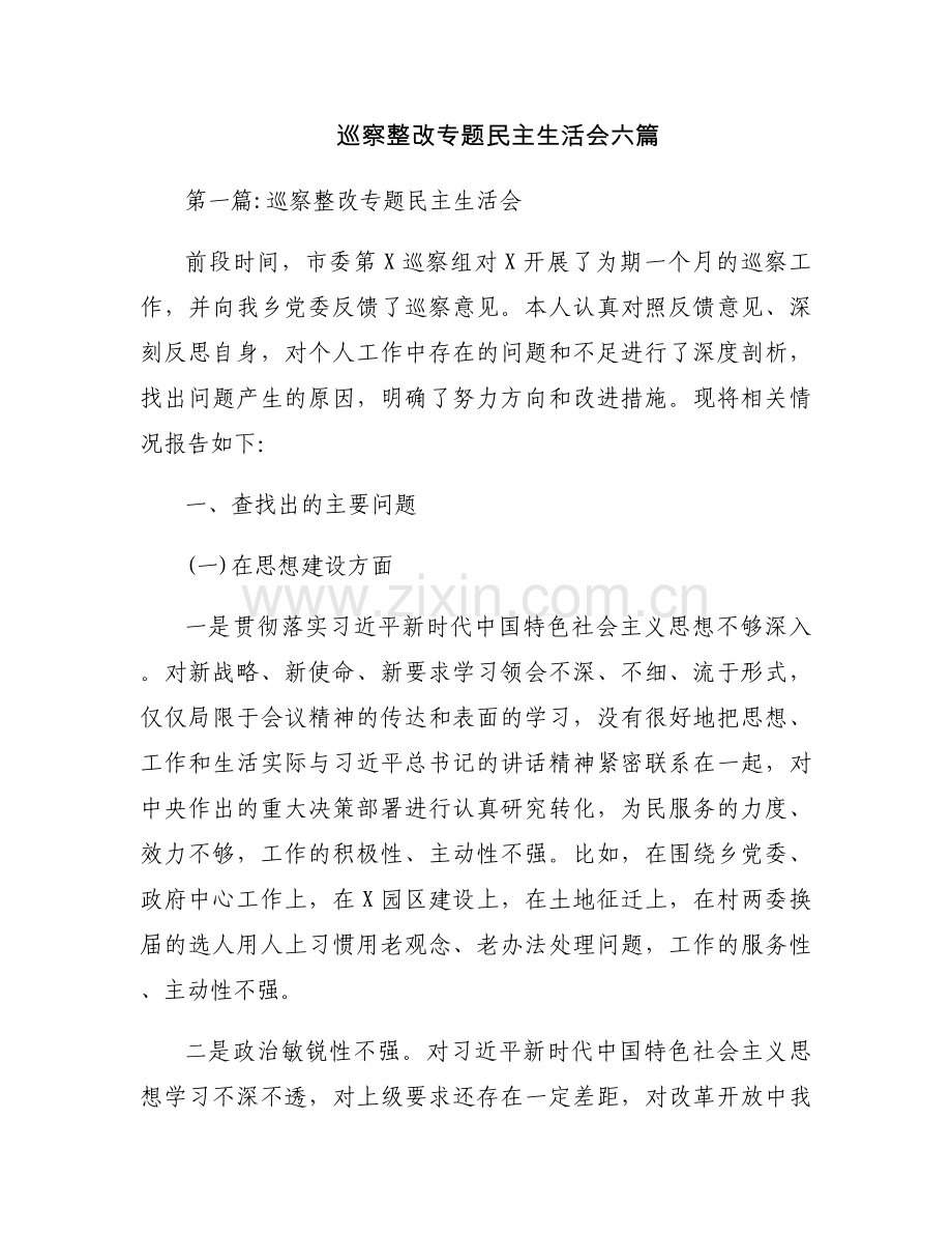 巡察整改专题民主生活会六篇.docx_第1页
