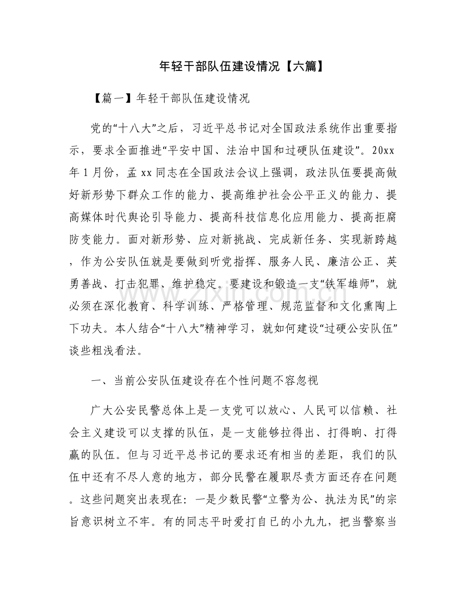 年轻干部队伍建设情况【六篇】.docx_第1页