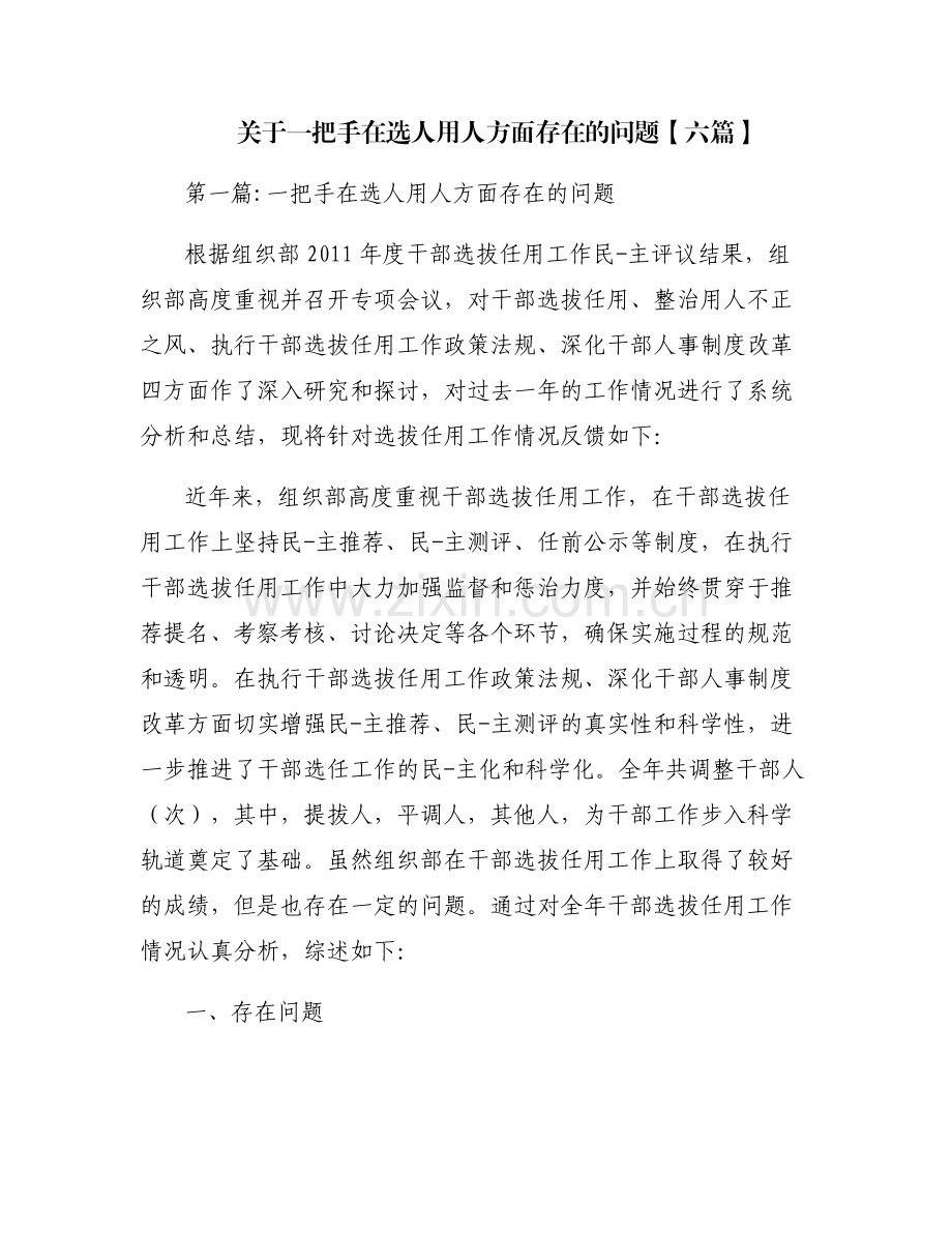 关于一把手在选人用人方面存在的问题【六篇】.pdf_第1页