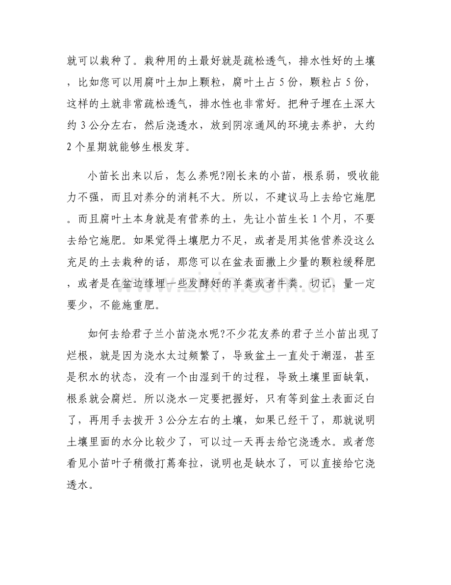 怎么养君子兰比较好-君子兰苗怎么养.pdf_第2页