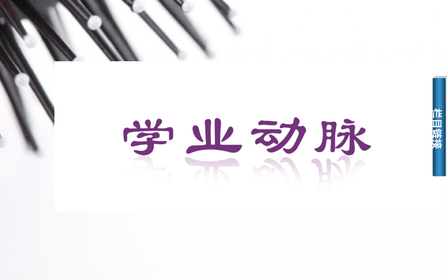 【高二】高中物理学业水平复习题 专题十三　电磁现象与规律专题十三　电磁现象与规律.pptx_第2页