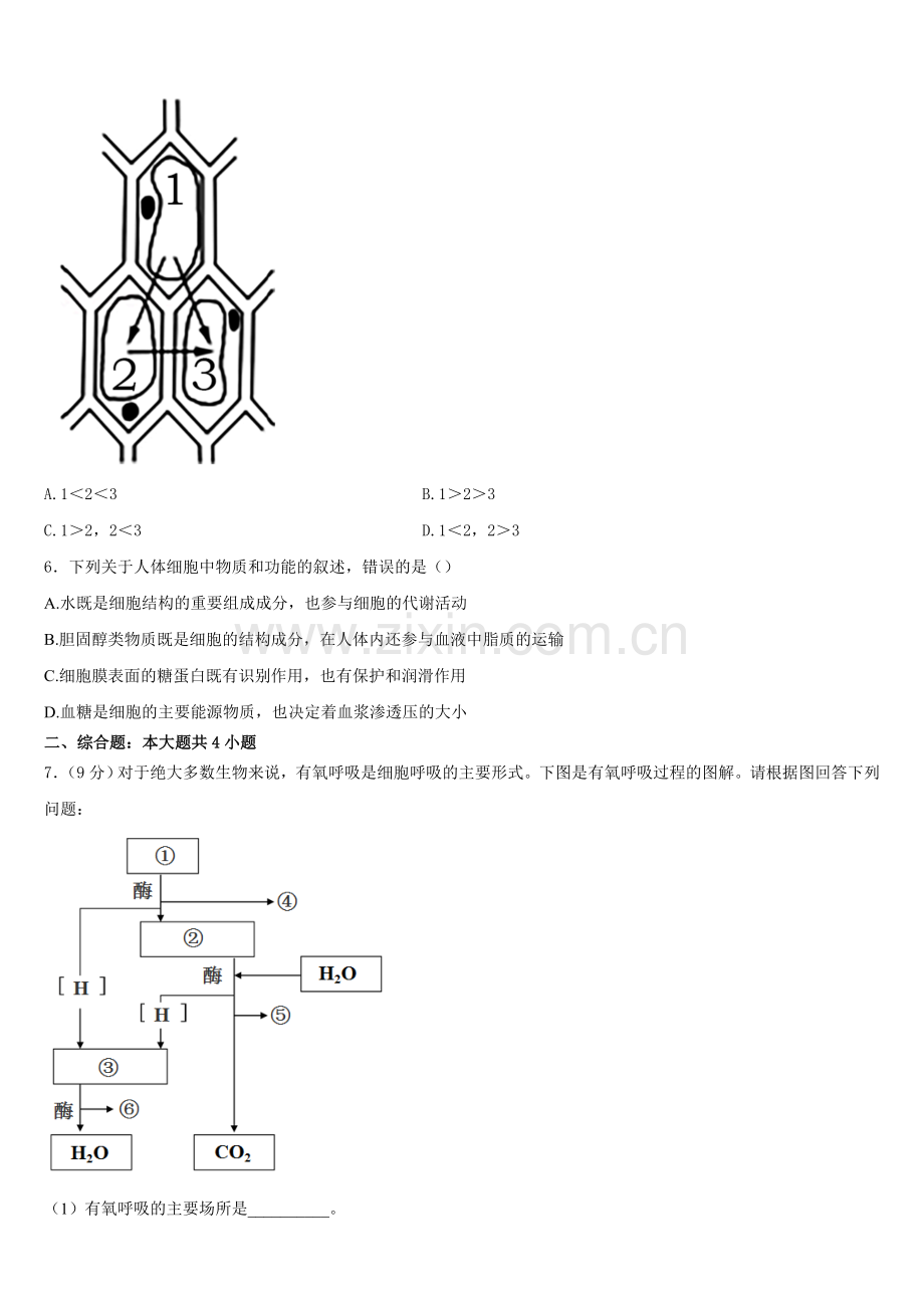 北京市中央民大附中2025-2026学年生物高二第一学期期末达标检测模拟试题含解析.doc_第2页