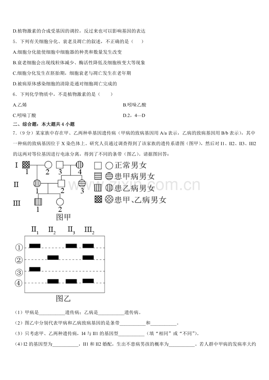 2025年广东省普宁市华侨中学生物高二第一学期期末调研试题含解析.doc_第2页