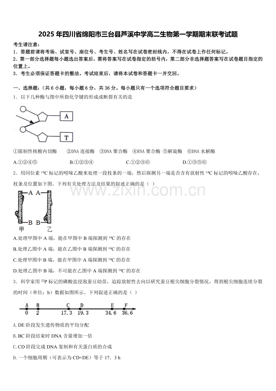 2025年四川省绵阳市三台县芦溪中学高二生物第一学期期末联考试题含解析.doc_第1页