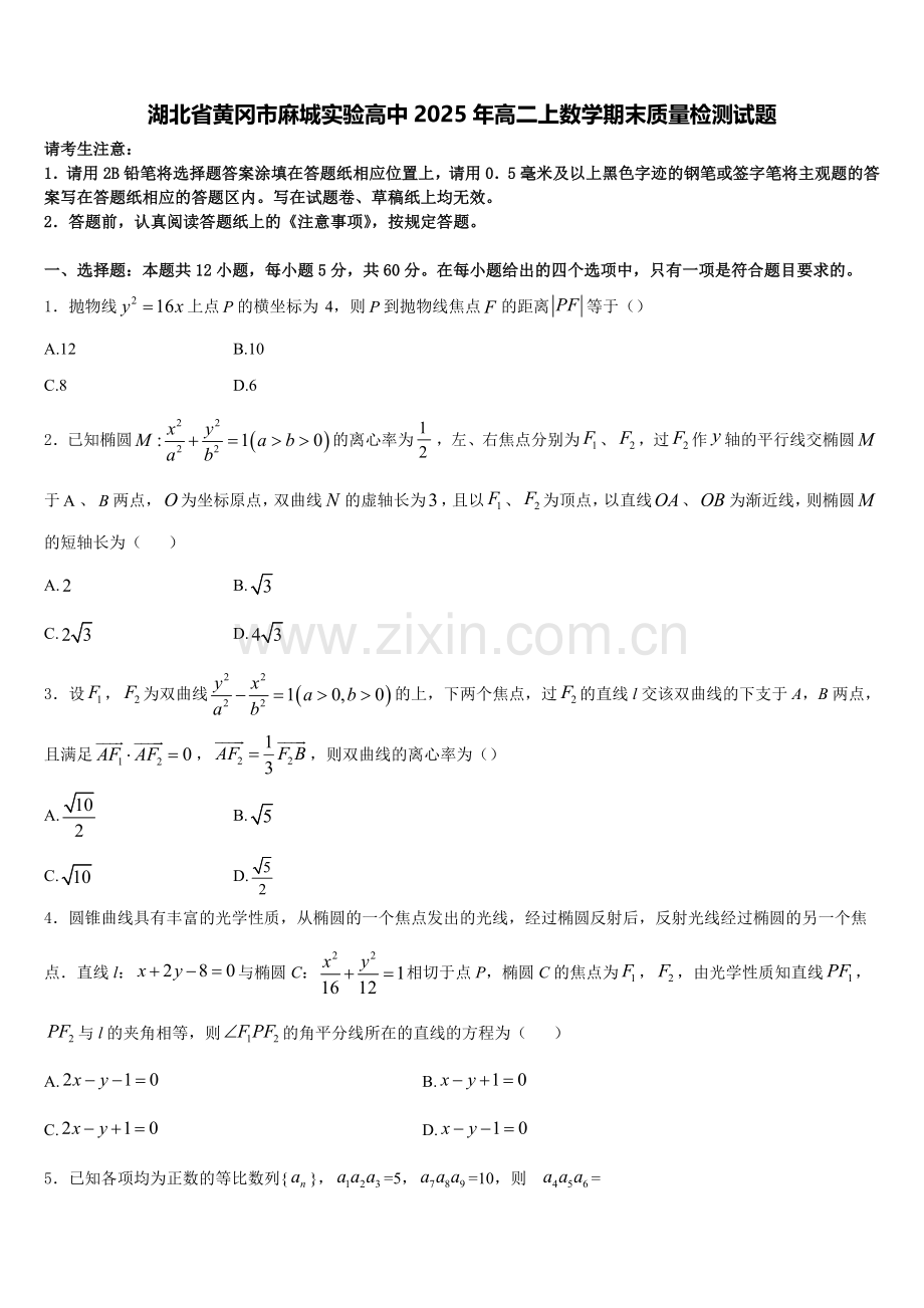 湖北省黄冈市麻城实验高中2025年高二上数学期末质量检测试题含解析.doc_第1页