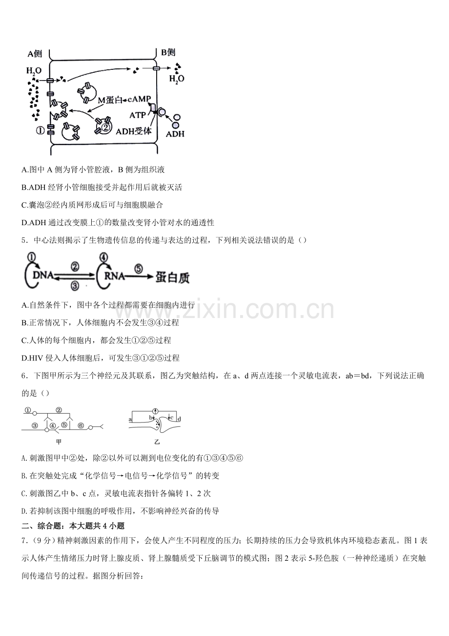2025-2026学年双鸭山市重点中学高二生物第一学期期末质量跟踪监视试题含解析.doc_第2页
