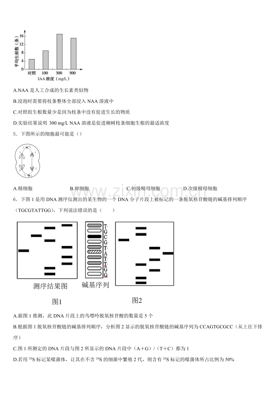 山东省菏泽市菏泽第一中学2025年高二生物第一学期期末综合测试模拟试题含解析.doc_第2页